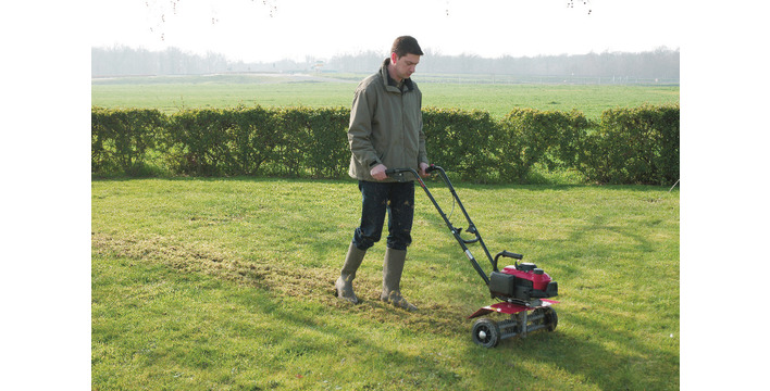 Honda tuinfrees FG 201 - Afbeelding 2